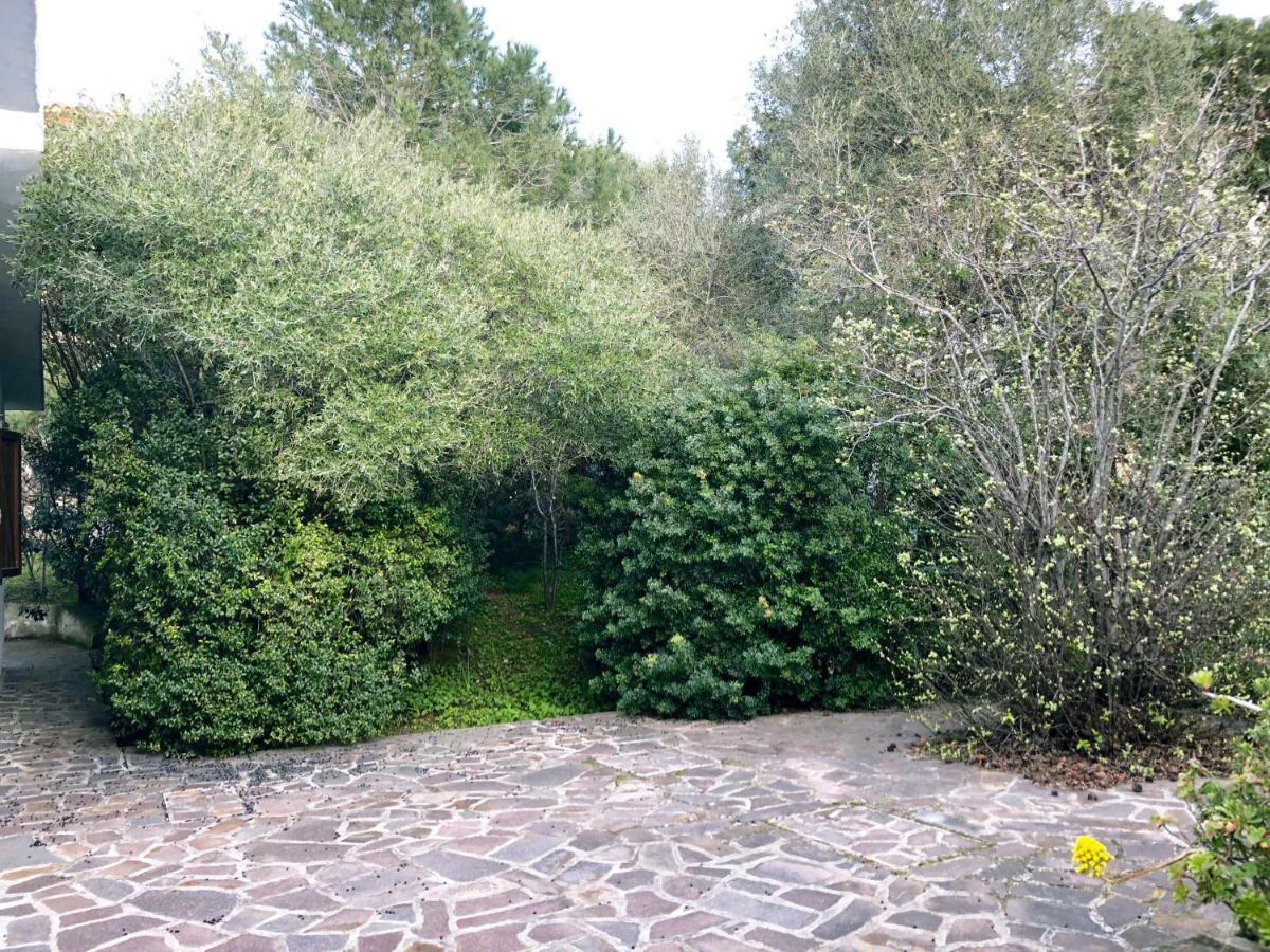 Mare E Rocce Villa Olbia